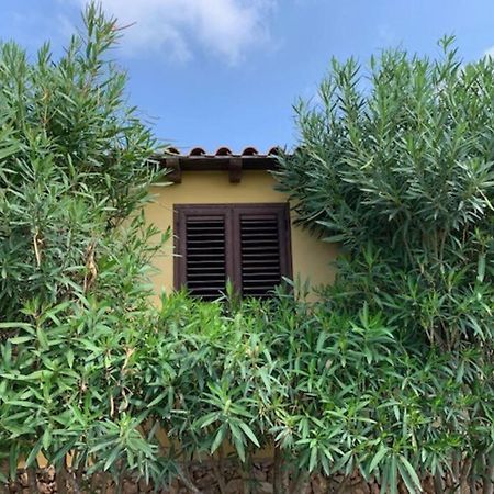 Villa Maveda, Un Dammuso Immerso Nel Verde Lampedusa Eksteriør billede