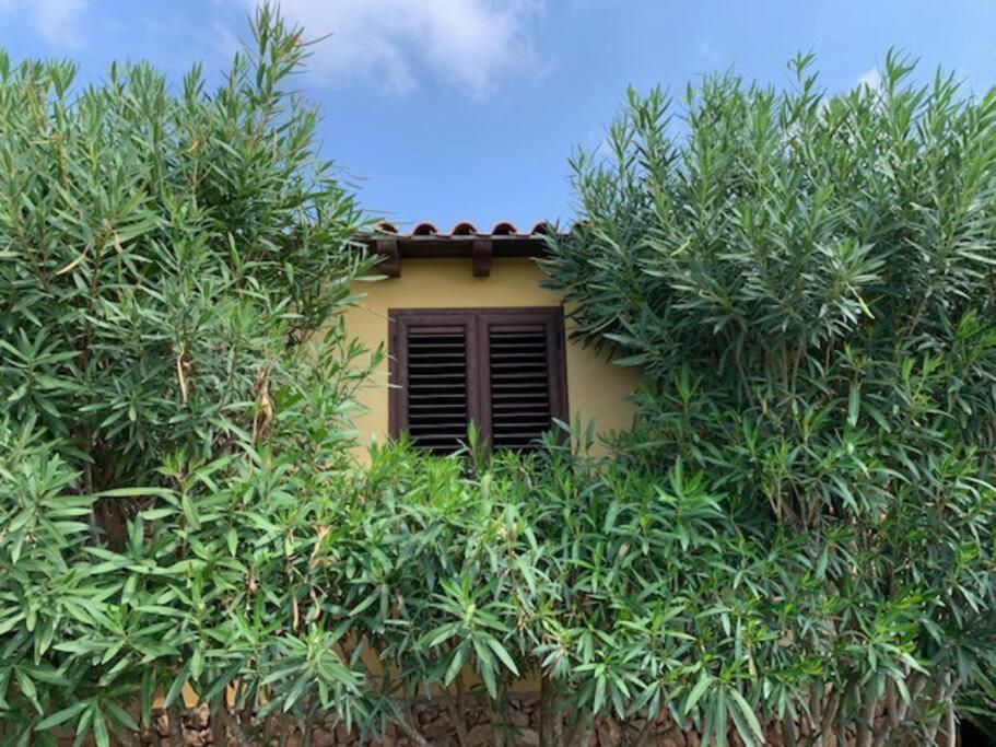 Villa Maveda, Un Dammuso Immerso Nel Verde Lampedusa Eksteriør billede