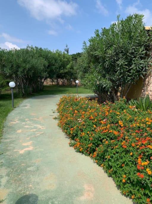 Villa Maveda, Un Dammuso Immerso Nel Verde Lampedusa Eksteriør billede